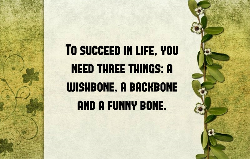 Funny St Patrick's Day Quotes
 10 Funny St Patrick’s Day Quotes To In 2018
