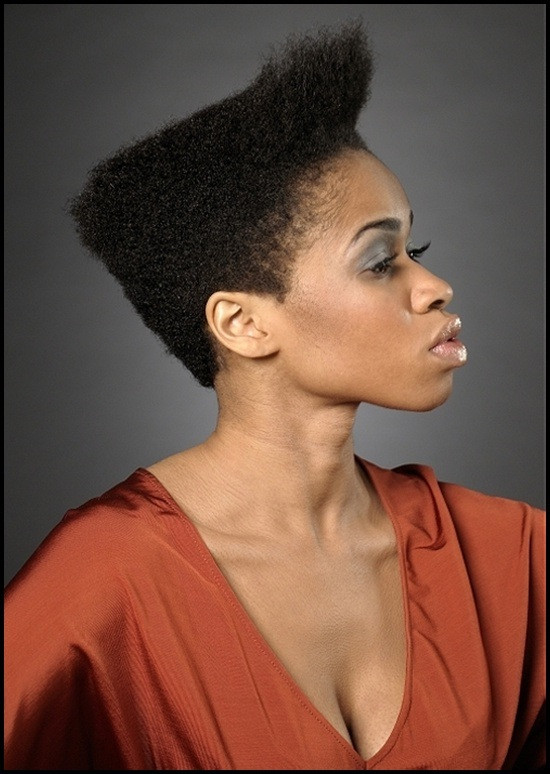 Hairstyle For Black Girls With Short Hair
 Short Curly Hairstyles for Black Woman