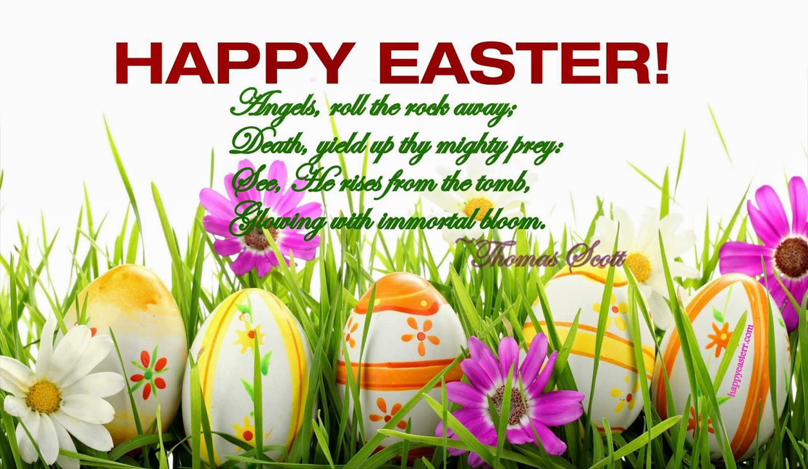 Happy Easter Quotes
 EASTER SUNDAY QUOTES MESSAGES WISHES PICTURES WALLPAPERS