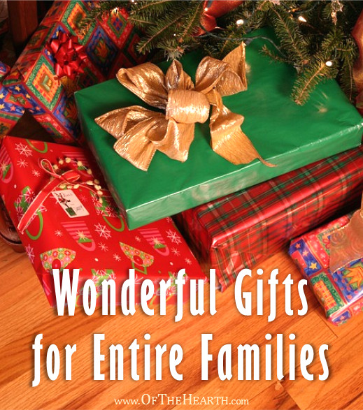 Holiday Gift Ideas Family
 Wonderful Gifts for Entire Families