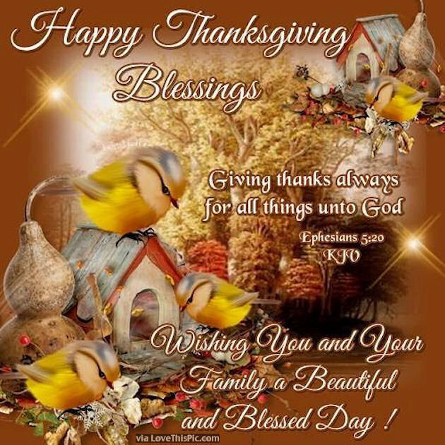 Holidays Thanksgiving Quotes
 Pin by My Info on Birthdays
