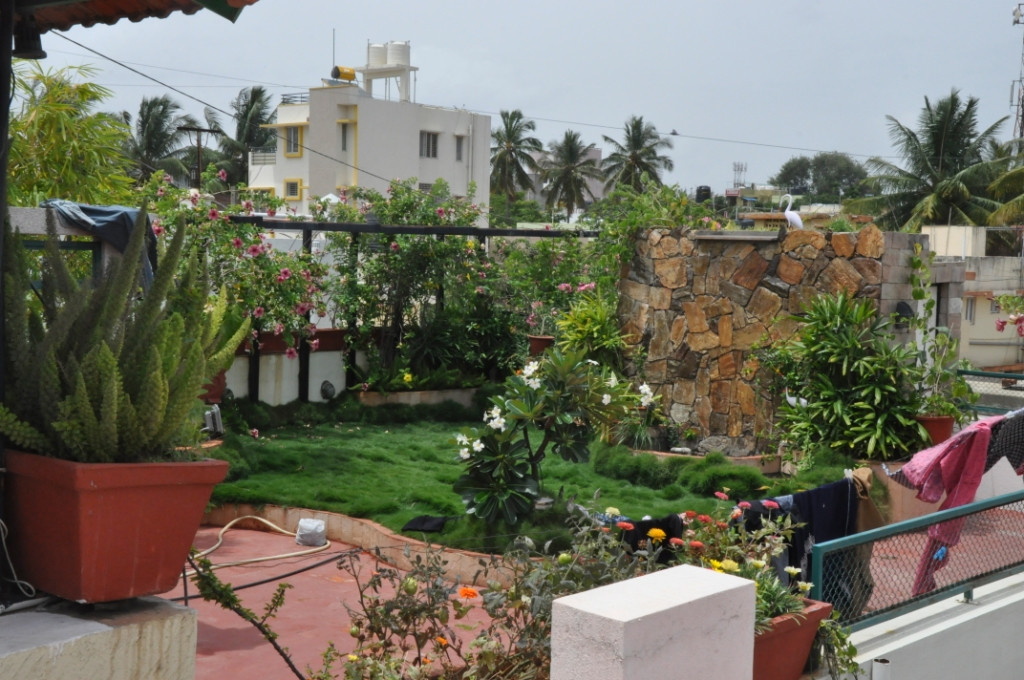 Home Terrace Landscape YOUR VIEW Here Is How You Can Create A Tiny Organic Farm