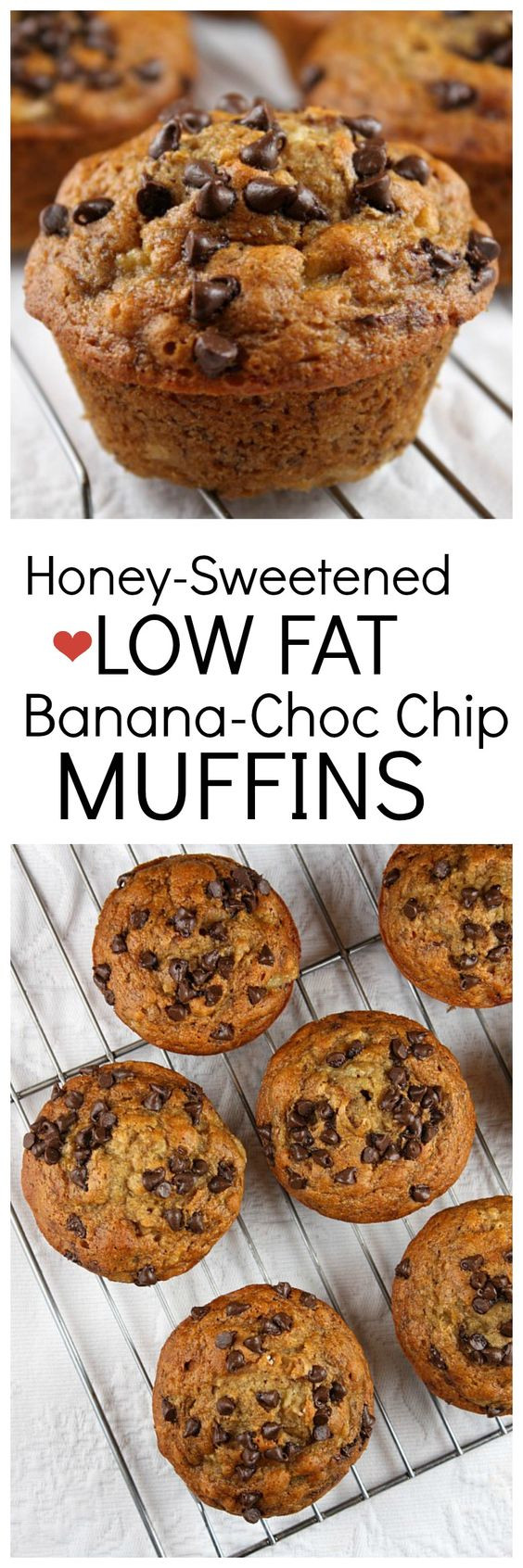 Low Calorie Muffin Recipes
 Chocolate chip muffins Low fat chocolate and Muffin