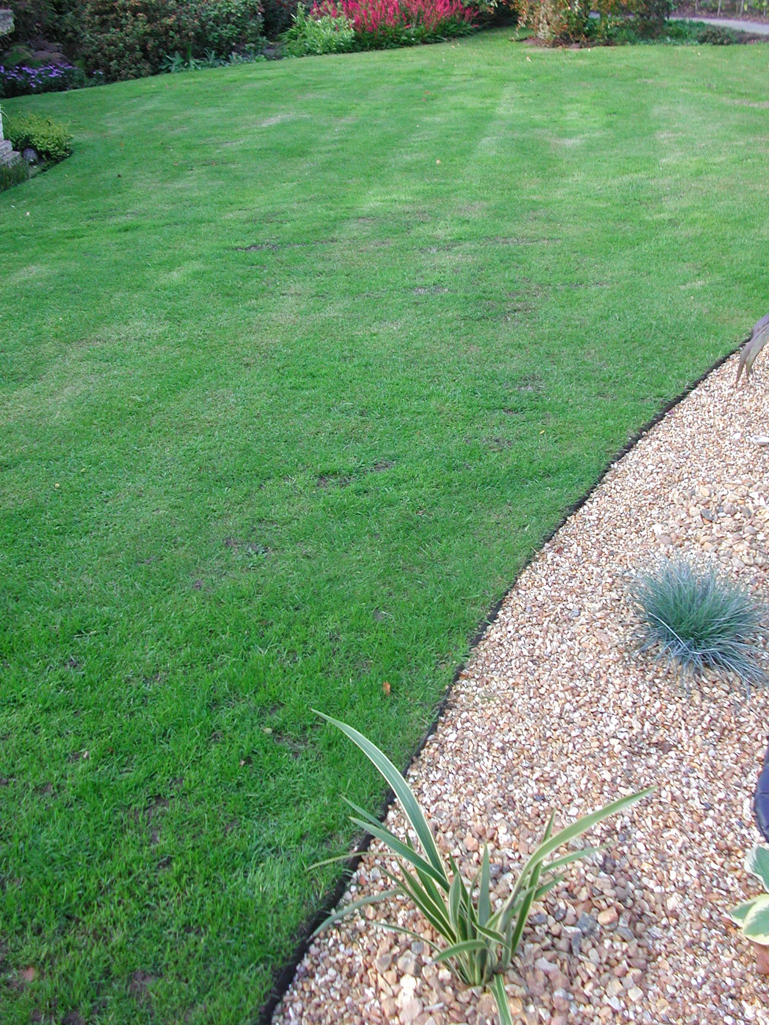 Metal Landscape Edging Home Depot
 Outdoor Easy Everedge Lawn Edging For Garden Ideas