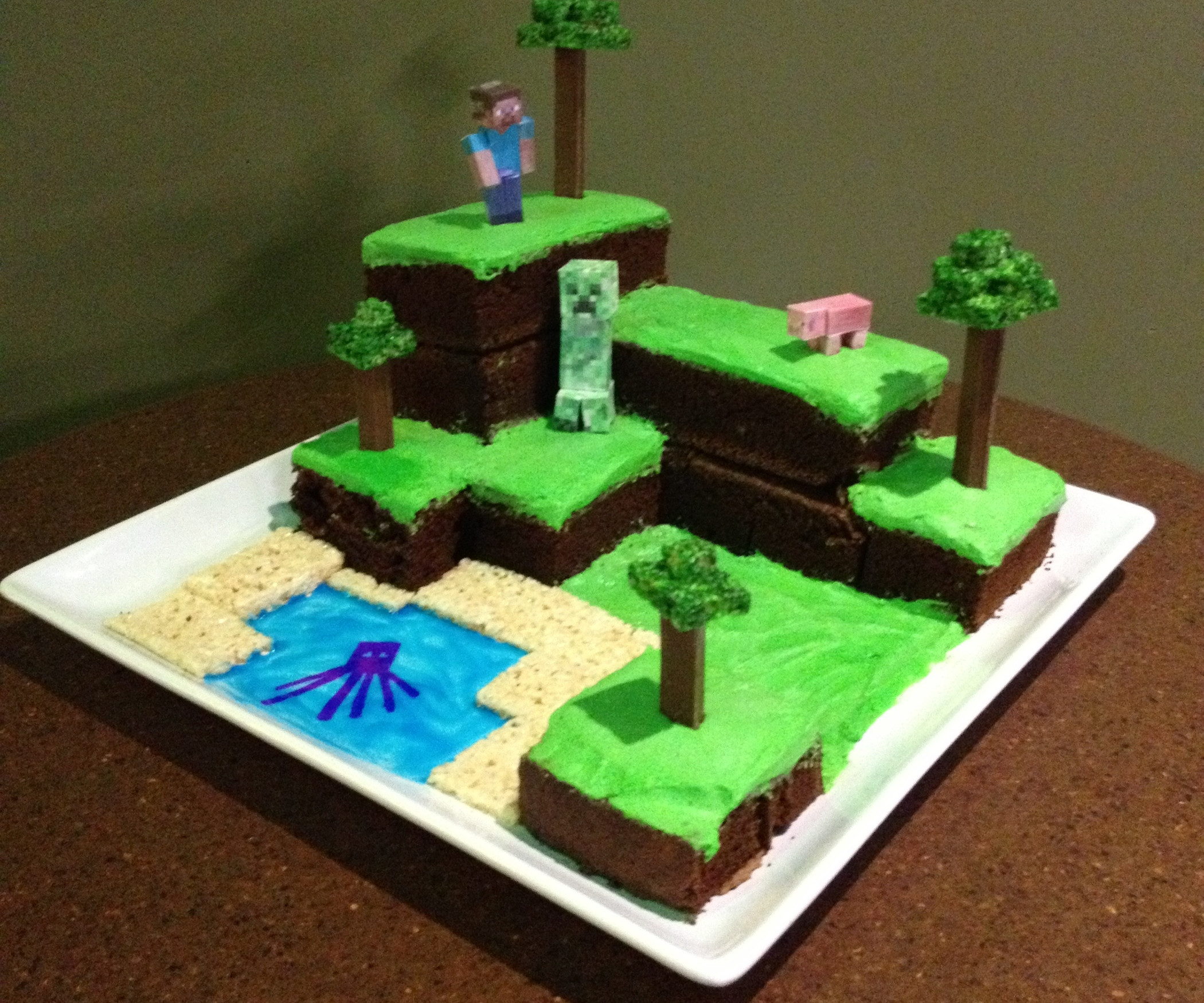 Minecraft Birthday Cake Ideas
 Minecraft World Cake with