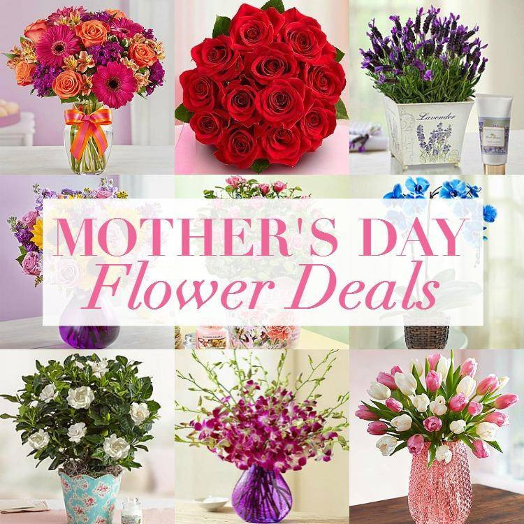 Mothers Day Food Deals
 Mothers Day Freebies Restaurant Coupons & Deals 2015
