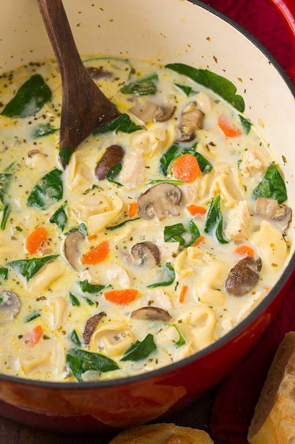 Mushroom Chicken Soup
 10 Best Pasta with Cream of Mushroom Soup Recipes