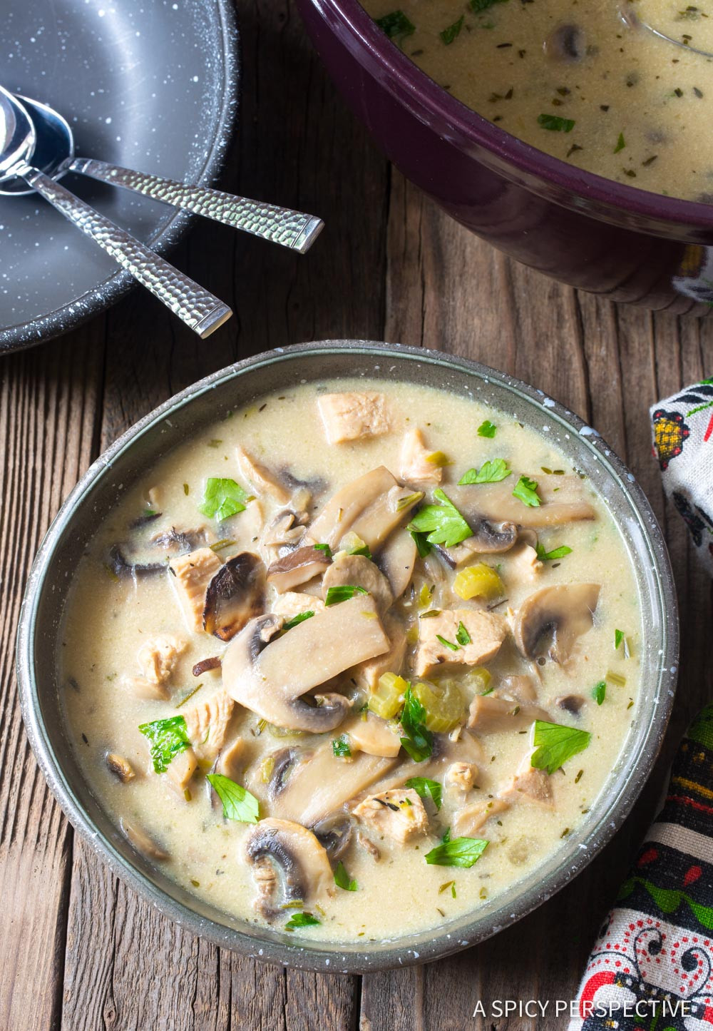 Mushroom Chicken Soup
 Low Carb Creamy Chicken Mushroom Soup Video A Spicy