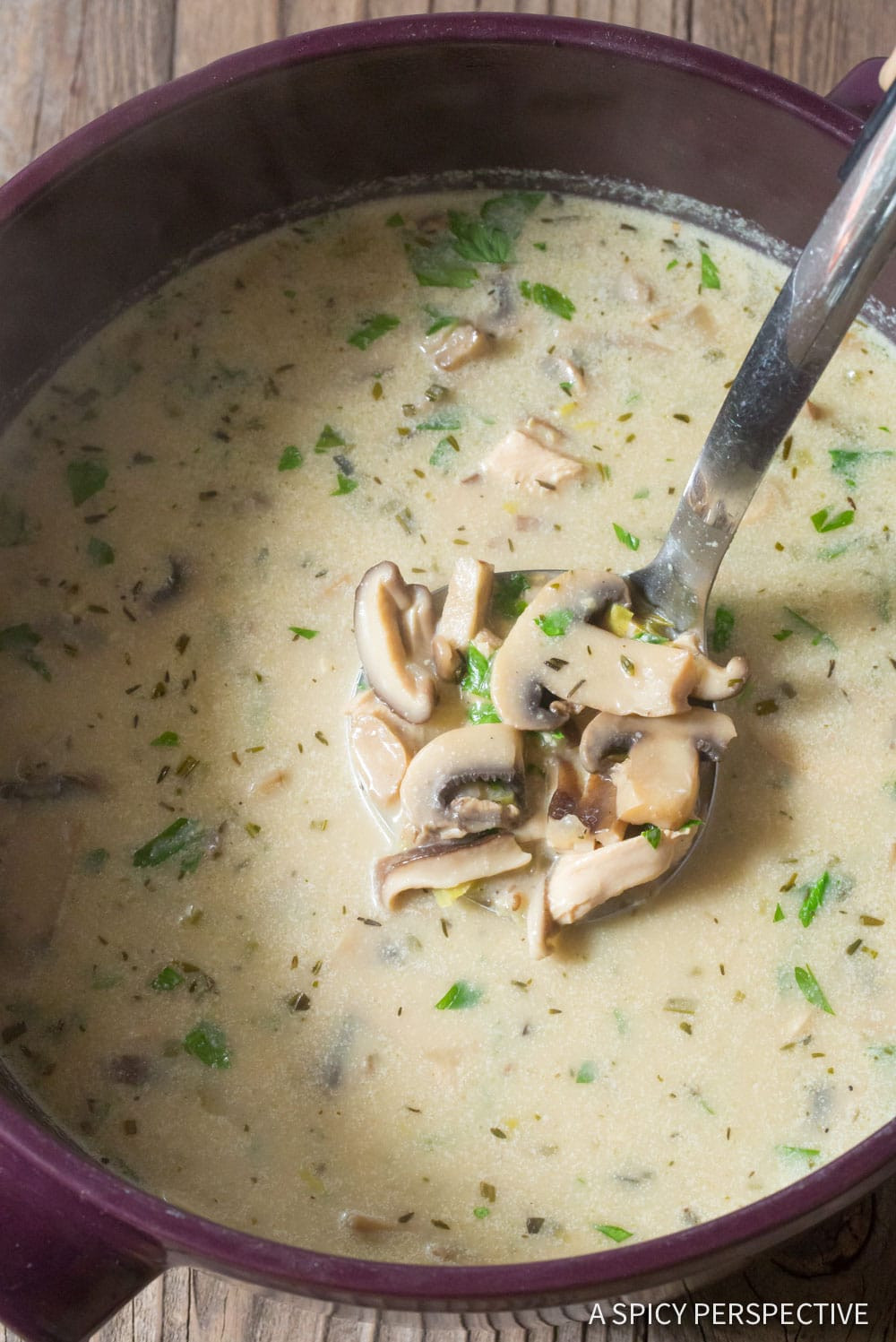 Mushroom Chicken Soup
 Low Carb Creamy Chicken Mushroom Soup Video A Spicy