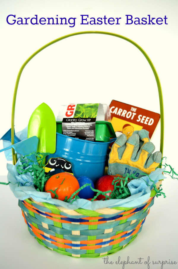 Preschool Easter Basket Ideas
 Top 10 No Candy Themed Easter Basket Ideas