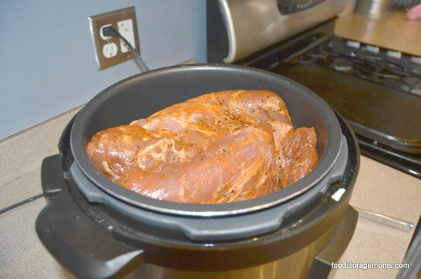 Pressure Cooked Pork Loin Roast
 Pressure Cooker How To Cook Dinner In e Hour