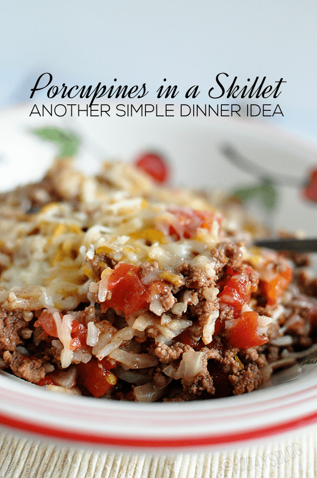 Quick Meals To Make With Ground Beef
 10 Easy Ground Beef Recipes You ve Gotta Try
