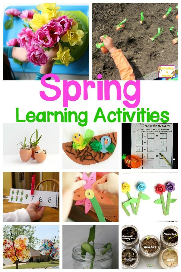 Spring Ideas For Kindergarten
 Spring Theme Ideas for Preschool and Kindergarten