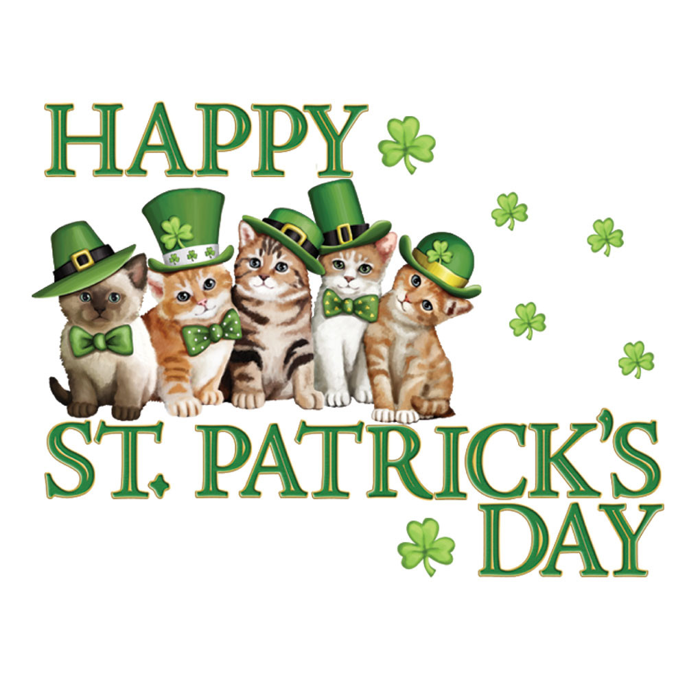 St Patrick's Day Ideas
 Collections Etc St Patrick s Day Irish Cats Garage Magnet Set