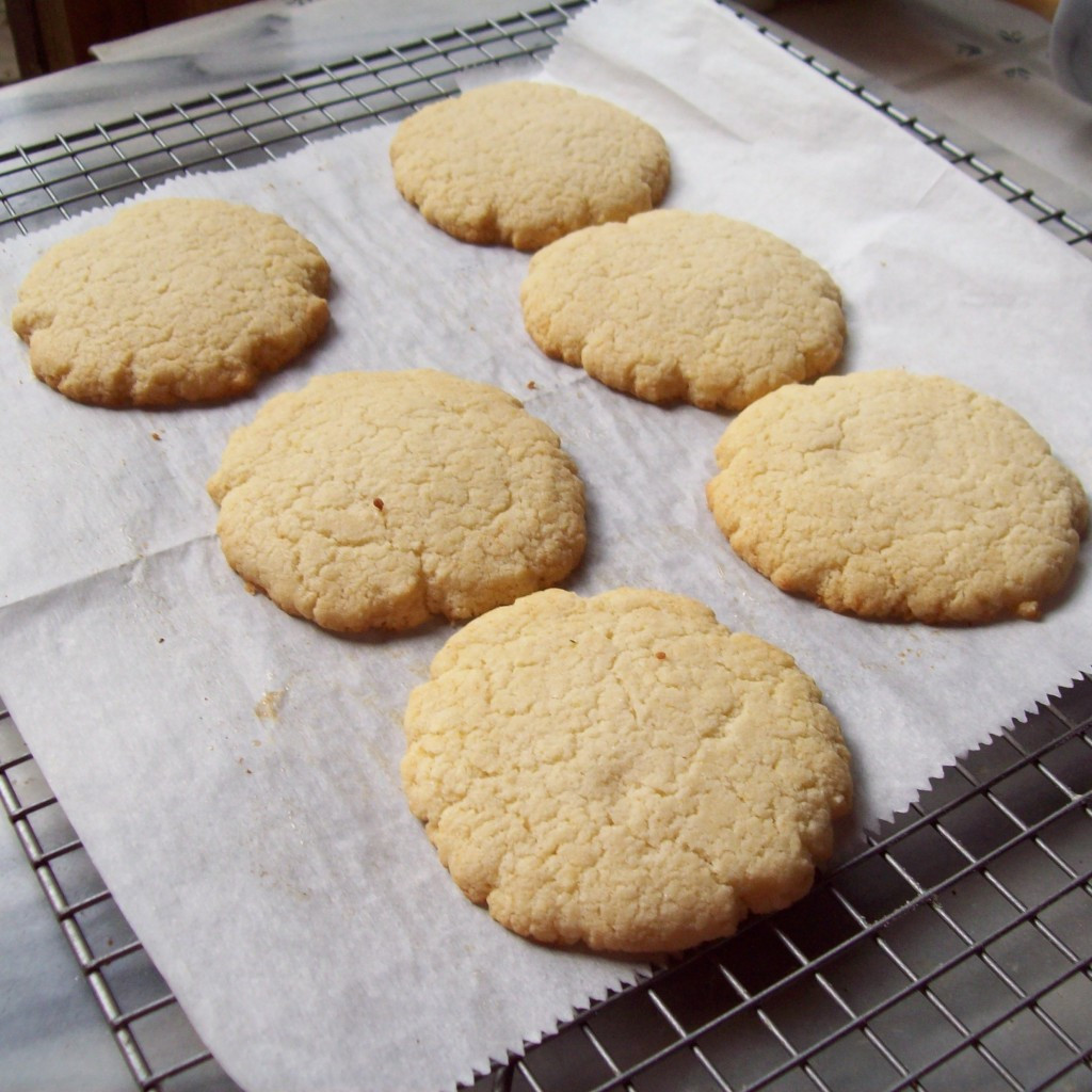 Sugar Free Low Carb Cookies
 Low Carb Sugar Free Frosted Shortbread Cookie Recipe
