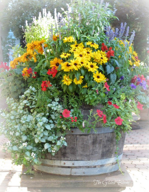 Summer Planting Ideas
 Summer Container Gardening
