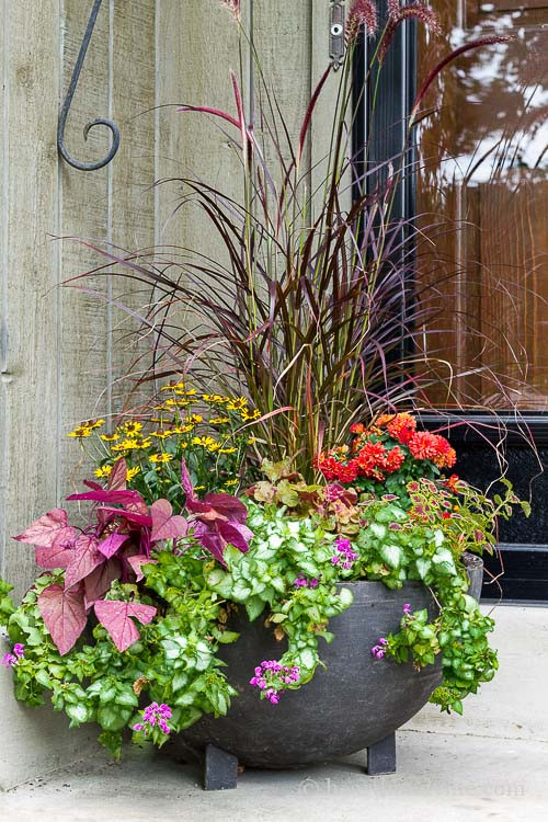 Summer Planting Ideas
 Fall Planter Ideas That Will Take You Well In to Winter