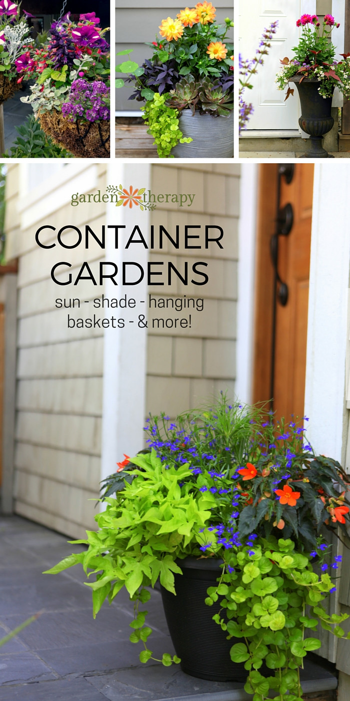 Summer Planting Ideas
 Decorative Ideas for Creating a Summer Container Garden