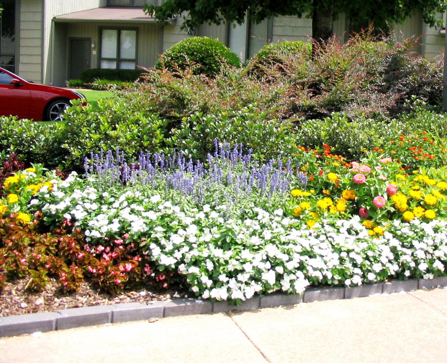 Summer Planting Ideas
 Planting your summer flower garden