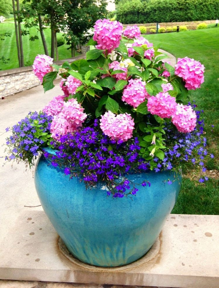 Summer Planting Ideas
 Summer Container Planting Container ideas