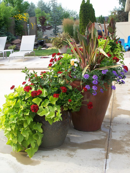 Summer Planting Ideas
 Summer Container Plants Home Design Ideas
