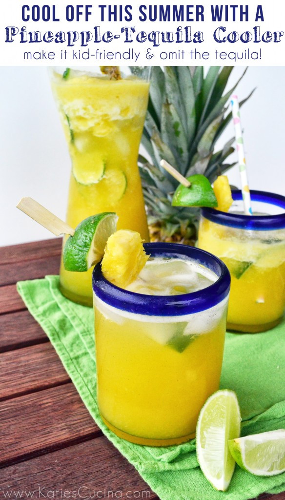 Summer Tequila Drinks
 Pineapple Tequila Cooler Katie s Cucina