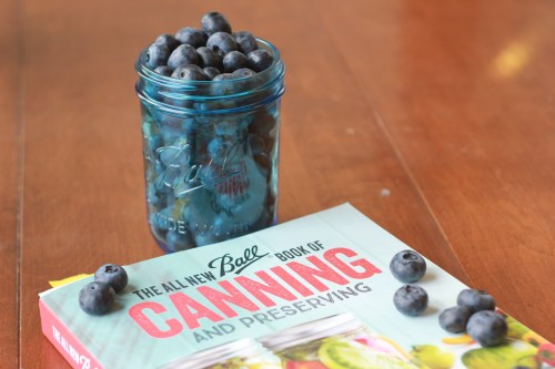 The All New Ball Book Of Canning And Preserving
 My Canning Fail – Your Planned Success