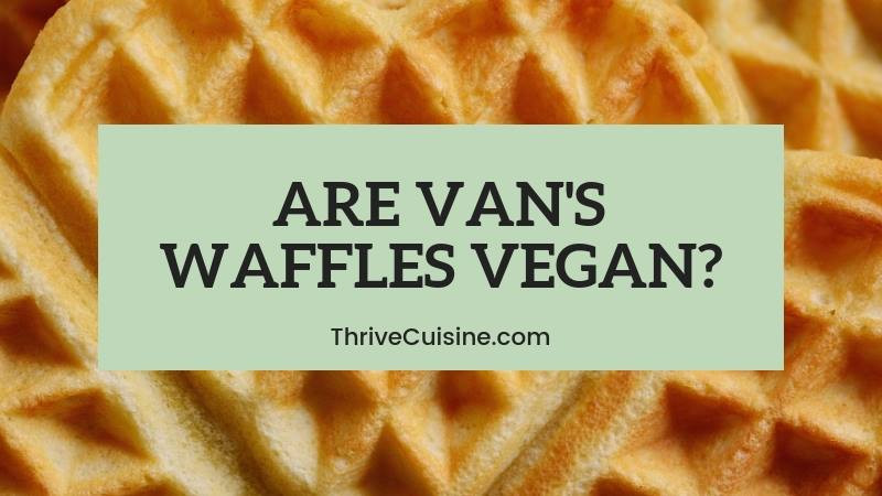 Vans Power Grains Waffles
 Are Van’s Waffles Vegan We Cover Gluten Free Blueberry