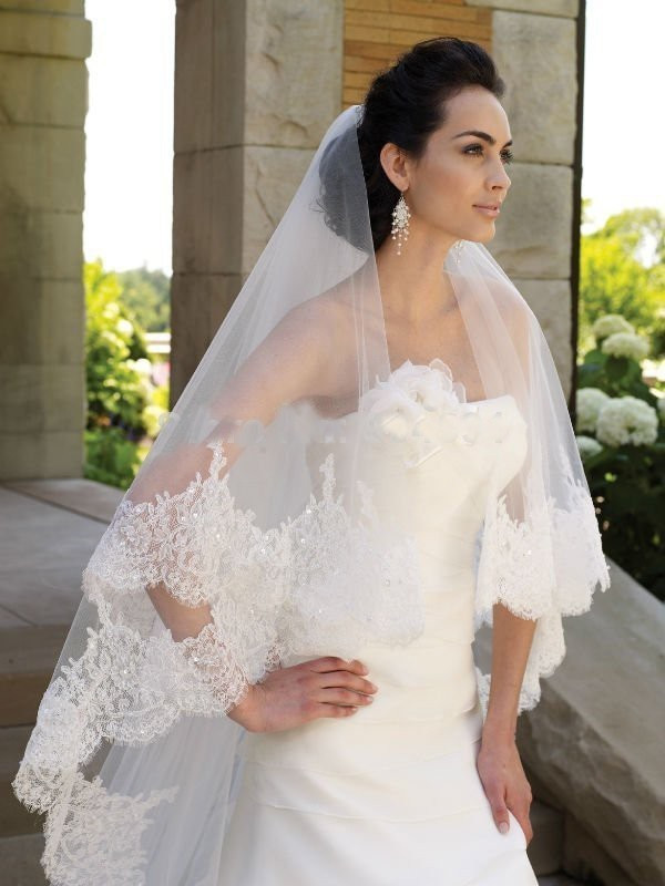 Wedding Lace Veils
 2017 Elegant Luxury Long Bridal Veils 3 meter Two Layers