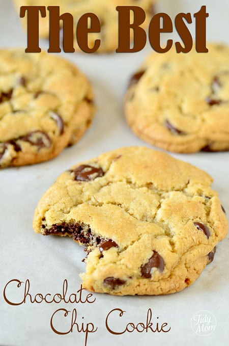 World'S Best Chocolate Chip Cookies
 20 Great Cookie Recipes The Crafted Sparrow