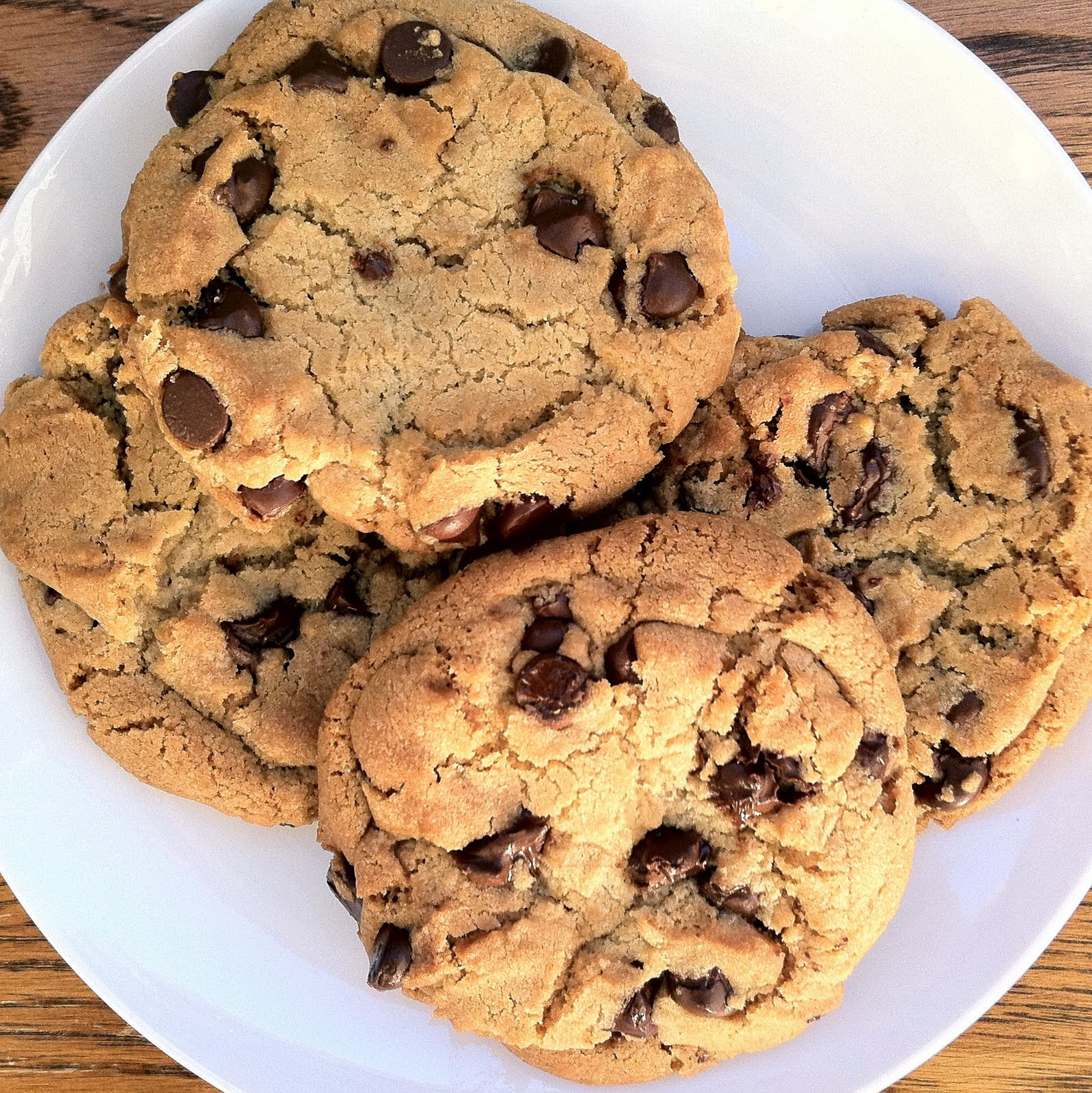 World'S Best Chocolate Chip Cookies
 the nonpareil baker The Best Chocolate Chip Cookies Ever