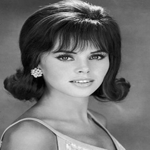 1960 Hairstyles For Long Hair
 Coolest 1960s Hairstyles for Women