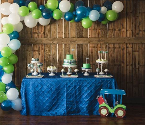1st Birthday Boy Decorations
 Awesome Spring Birthday Ideas for Kids