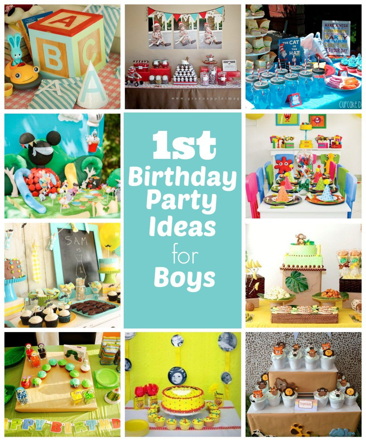 1st Birthday Party Supplies Boy
 1st Birthday Party Ideas for Boys Kids