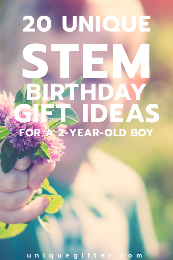 2 Year Old Birthday Gift Ideas
 20 STEM Birthday Gift Ideas for a 2 Year Old Boy Unique