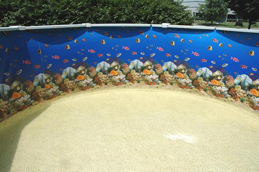 Above Ground Swimming Pool Liners
 Swimming Pools and More How to Clean Ground Pool