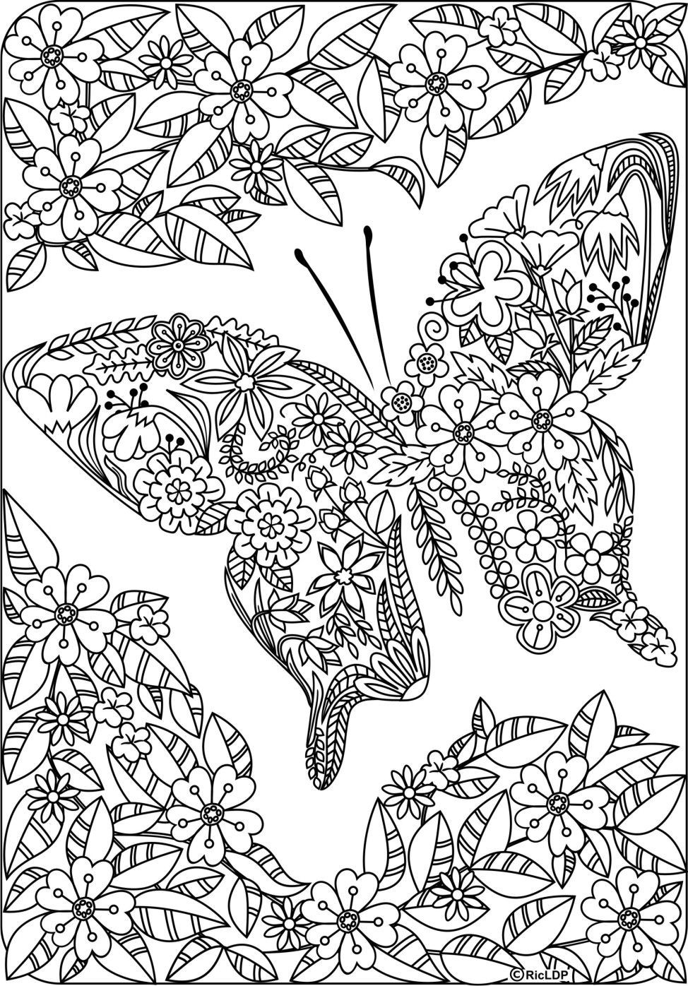 Adult Butterfly Coloring Pages
 Pin auf Ausmalbilder