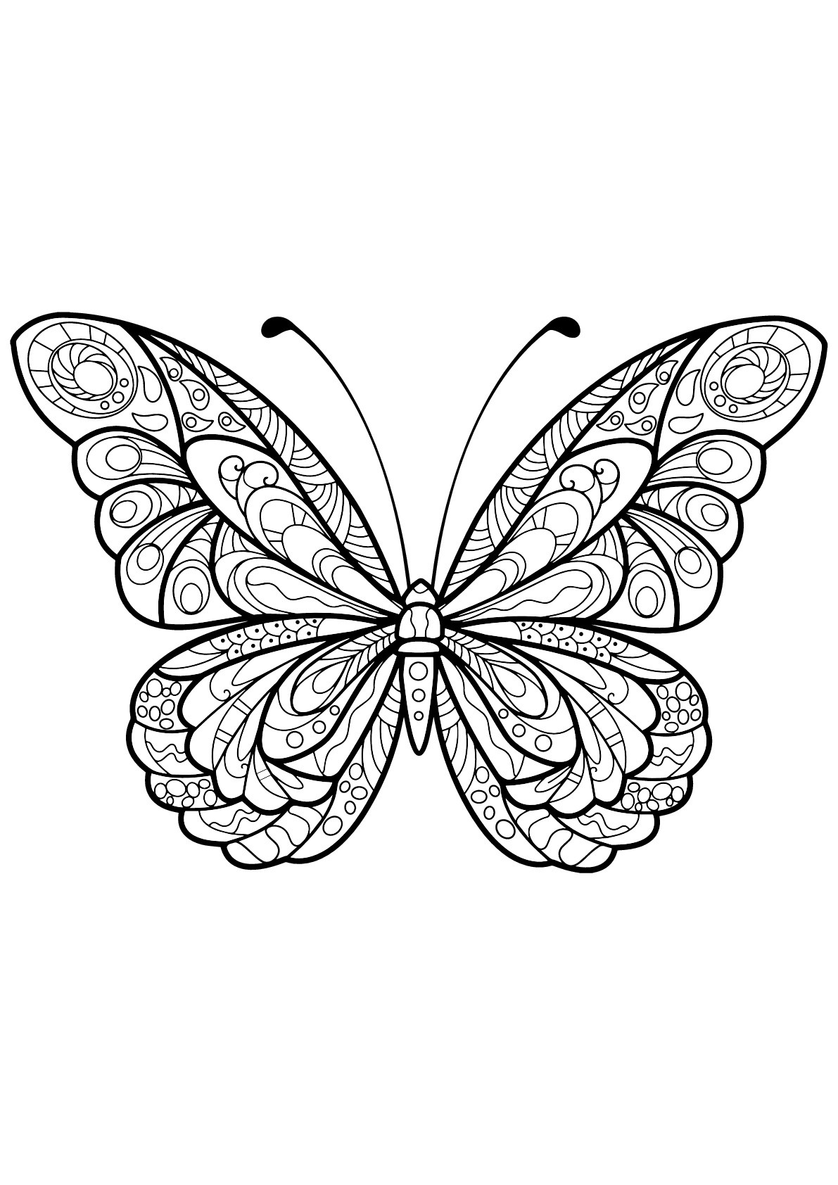 Adult Butterfly Coloring Pages
 Butterfly beautiful patterns 5 Butterflies & insects