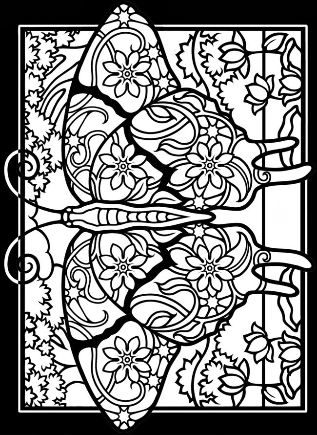 Adult Butterfly Coloring Pages
 EXPOSE HOMELESSNESS FANCY STAINED GLASS WINDOW BUTTERFLY