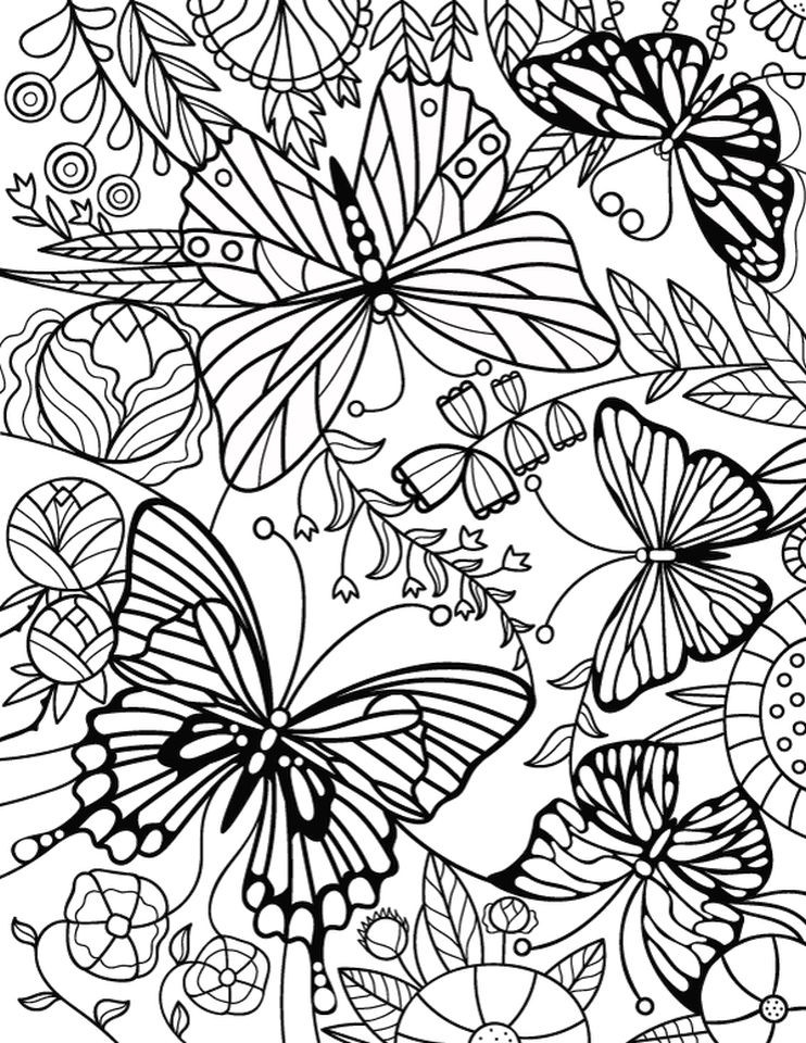 Adult Butterfly Coloring Pages
 Get This Advanced coloring pages of Butterfly for Adults