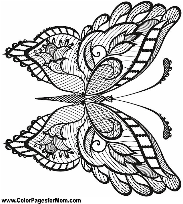 Adult Butterfly Coloring Pages
 Butterfly Coloring Page 38