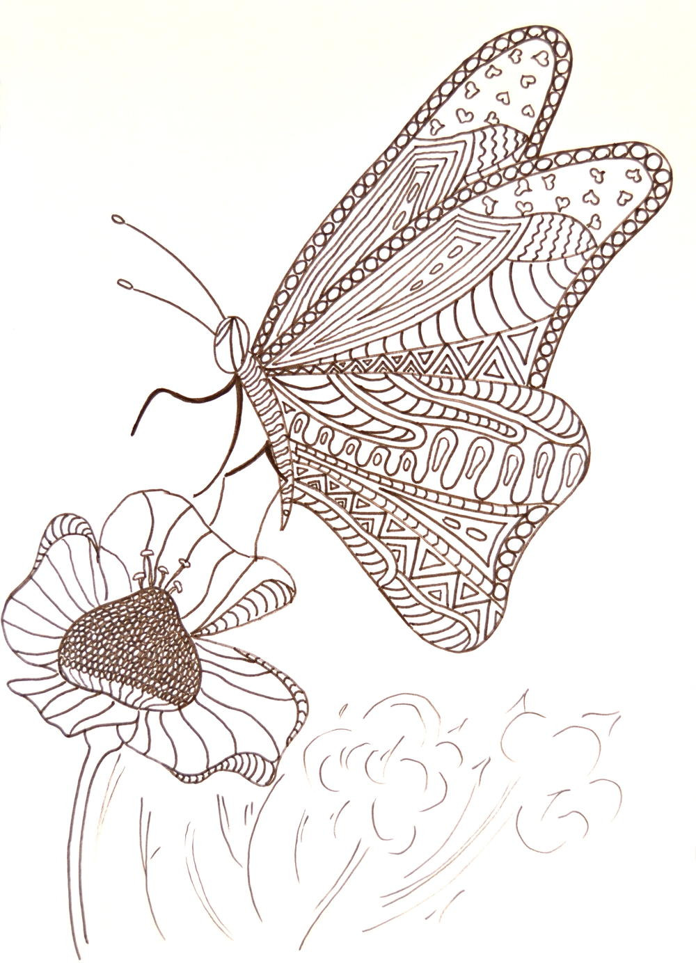 Adult Butterfly Coloring Pages
 Hungry Butterfly Adult Coloring Page