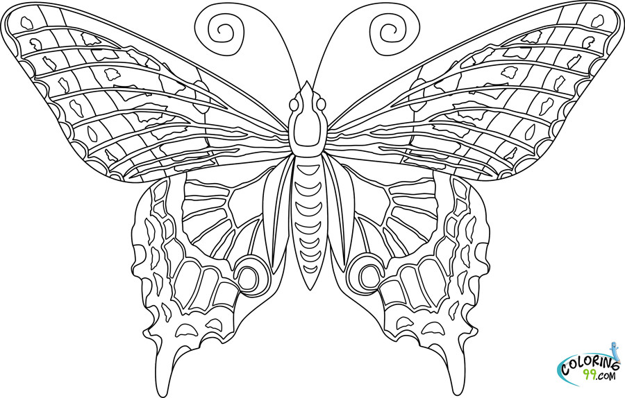 Adult Butterfly Coloring Pages
 Butterfly Coloring Pages