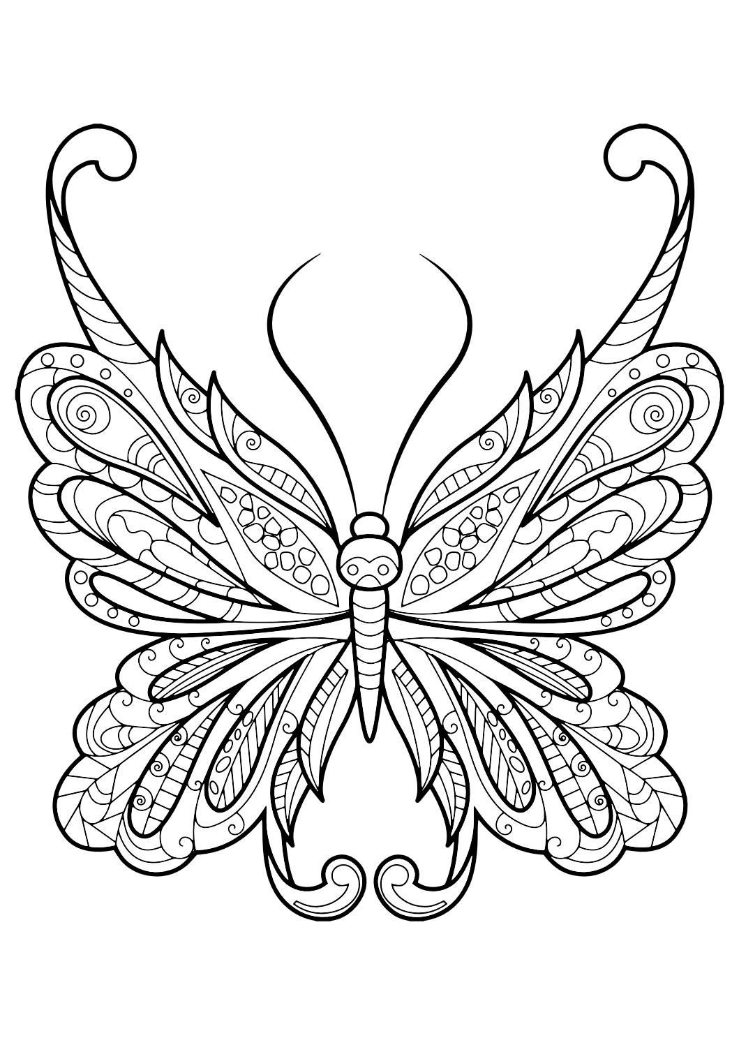 Adult Butterfly Coloring Pages
 Adult Butterfly Coloring Book