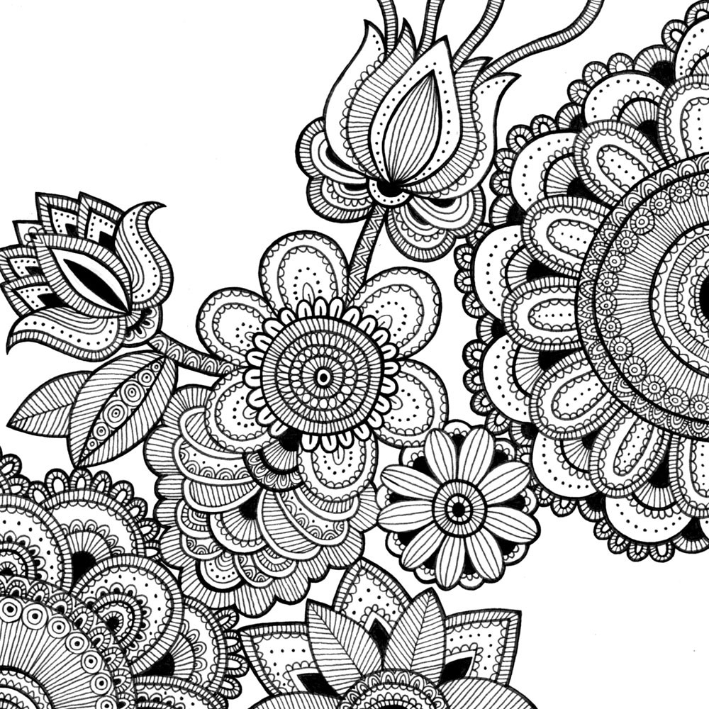Adult Coloring Book Patterns
 illustration and motion news