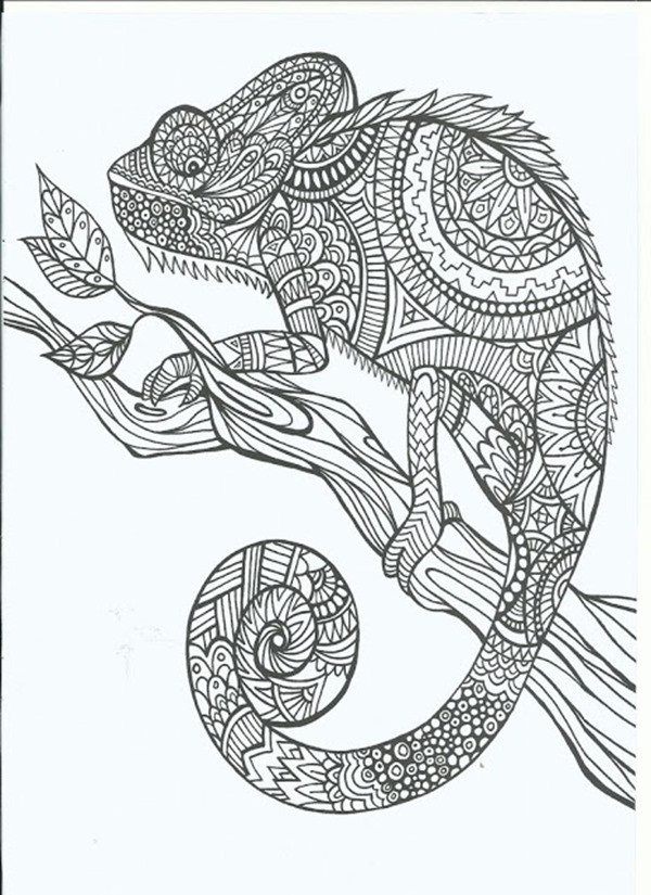 Adult Coloring Free Pages
 Free Printable Coloring Pages for Adults 12 More Designs