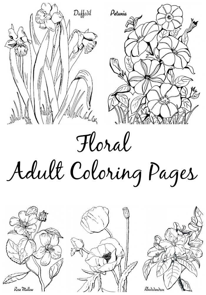 Adult Coloring Free Pages
 10 Floral Adult Coloring Pages The Graphics Fairy