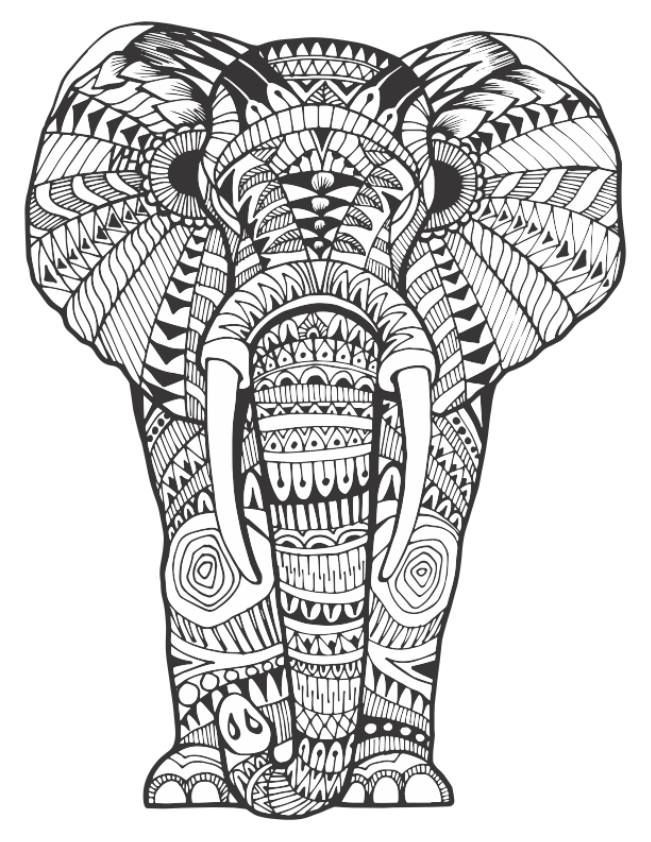Adult Coloring Pages Animal Patterns
 Adult Coloring Book 20 Stress Relieving Landscapes And Amazing Animal Patterns Coloring books