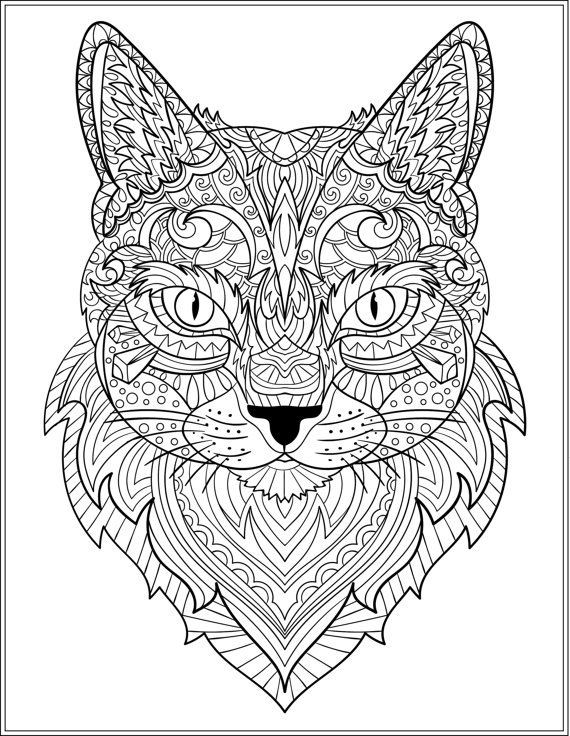 Adult Coloring Pages Animal Patterns
 Cat Stress Relieving Designs & Patterns Adult by LiltColoringBooks