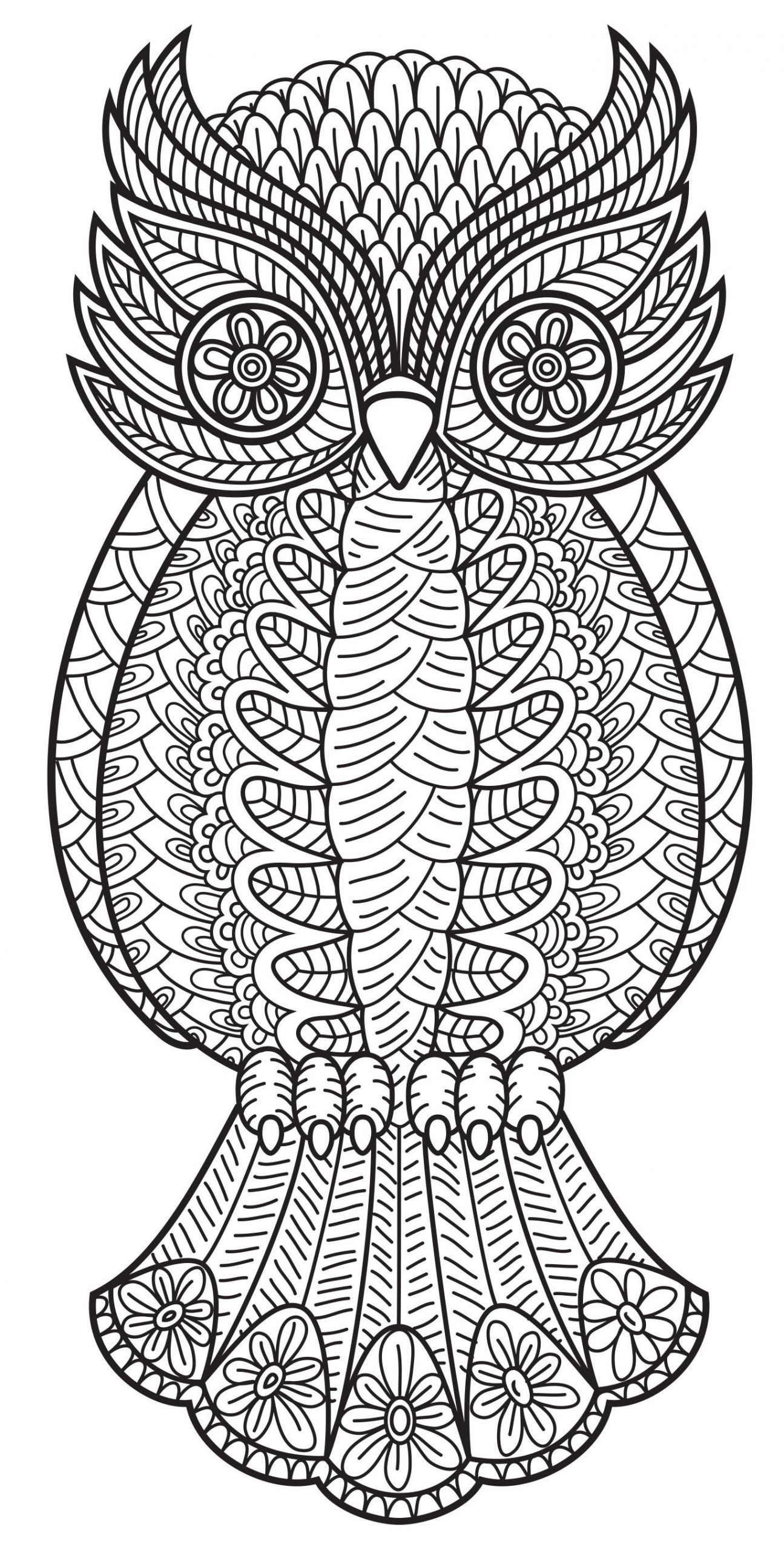 Adult Coloring Pages Animal Patterns
 An owl from Patterns Coloring Book Vol 3 Coloring Pages Owls